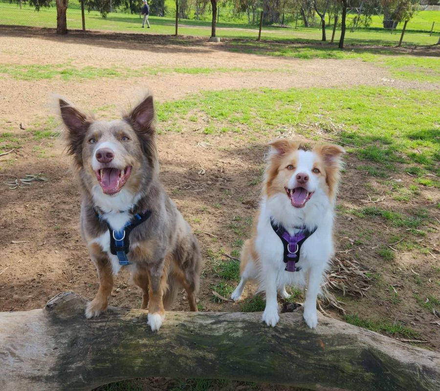 547755972_1367934278675026_1640303861534780907_n