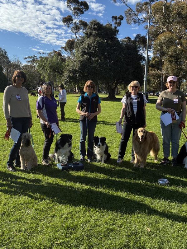 548192417_1368705825264538_5104527975836958687_n